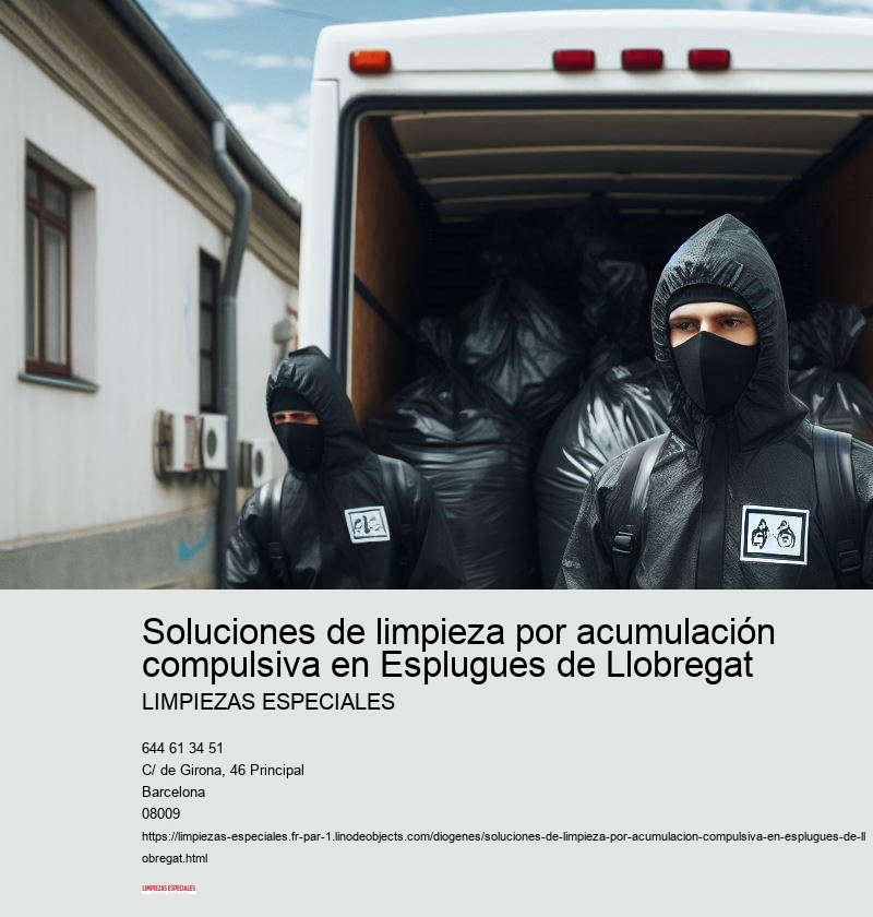 Cómo mantener la limpieza después de una intervención profesional