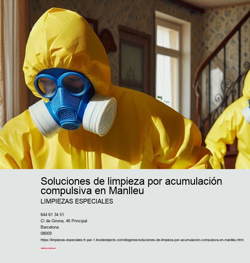 Servicios adicionales de Limpiezas Especiales