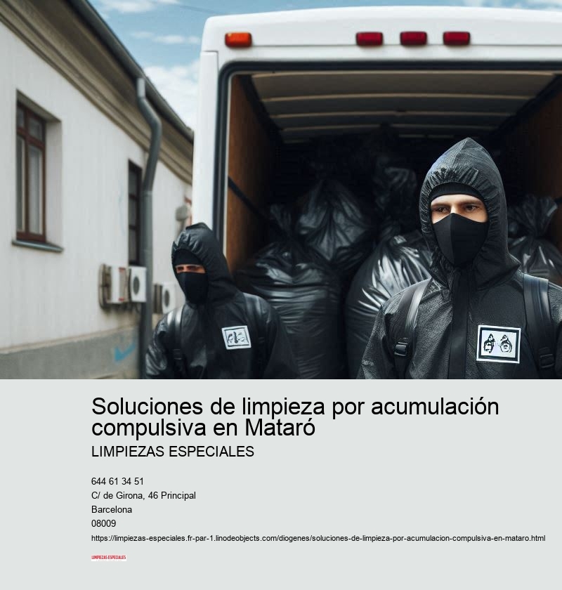 Limpieza profunda y mantenimiento regular