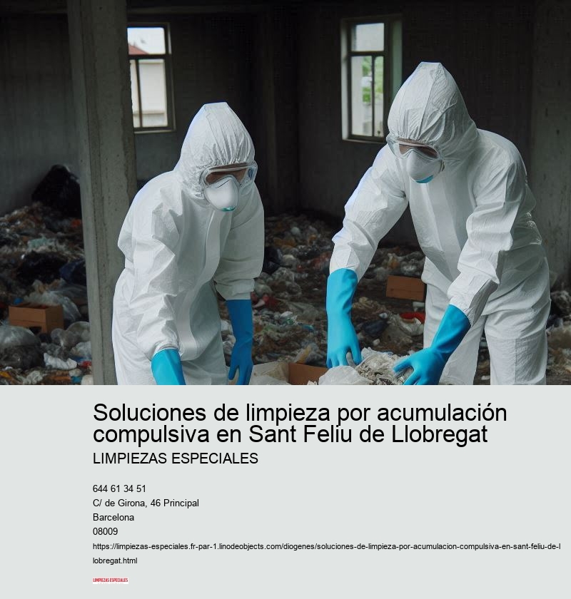 Servicios adicionales de Limpiezas Especiales