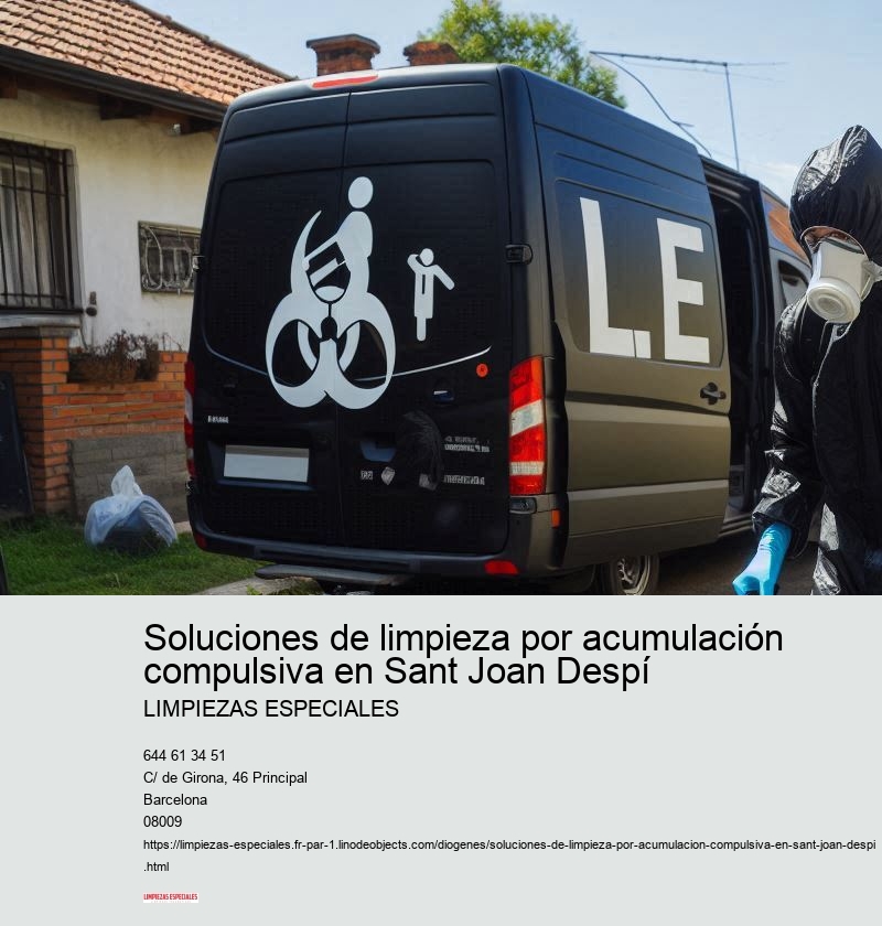 Cómo mantener la limpieza después de una intervención profesional