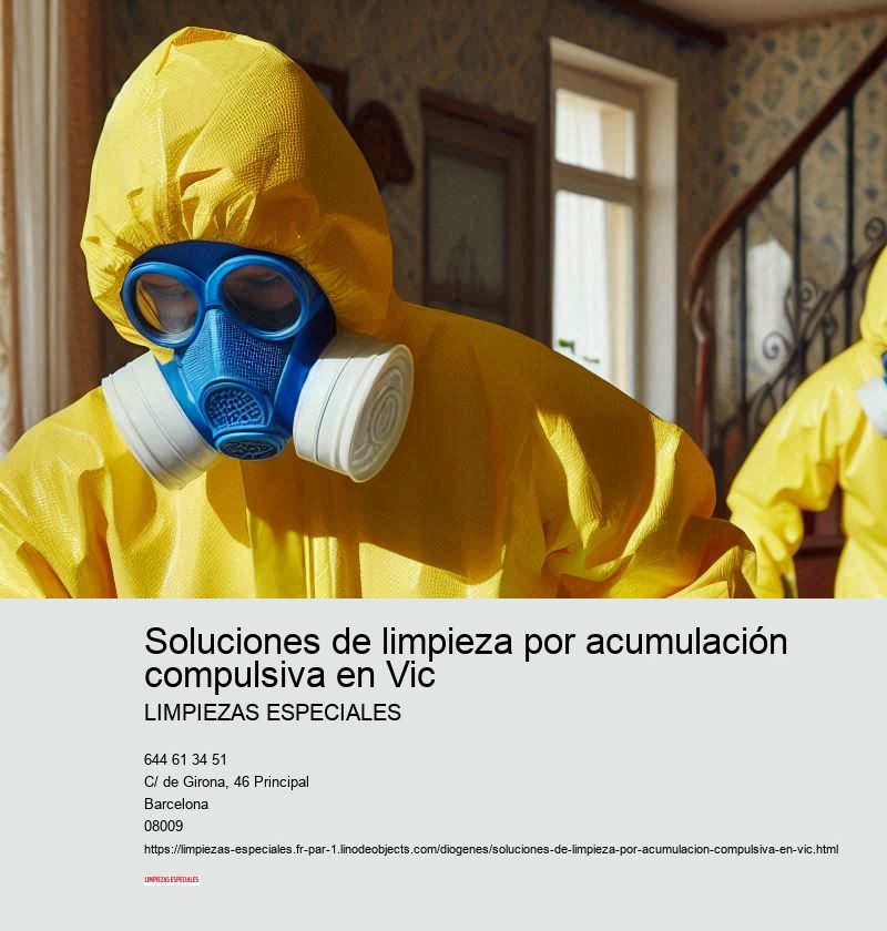 Limpieza profunda y mantenimiento regular
